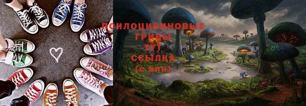спайс Алзамай