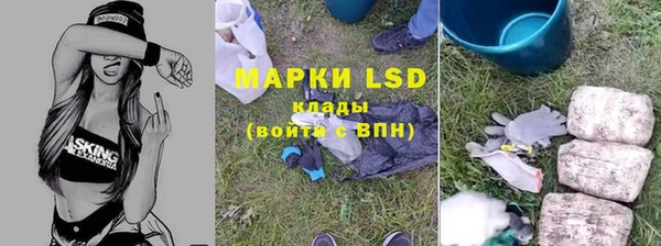 спайс Алзамай