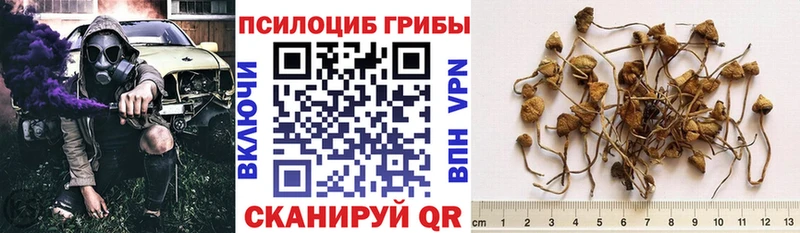 Псилоцибиновые грибы Psilocybine cubensis  KRAKEN зеркало  Железноводск  даркнет сайт 