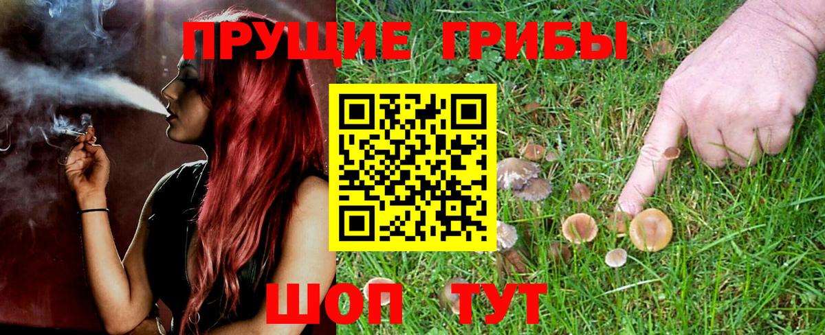 Псилоцибиновые грибы Magic Shrooms Железноводск